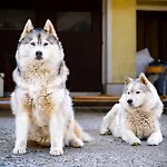 Apartma Anica Apartment