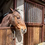 Apartment Apartma Anica