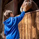 Apartma Anica Apartment *