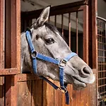 Apartma Anica Apartment *