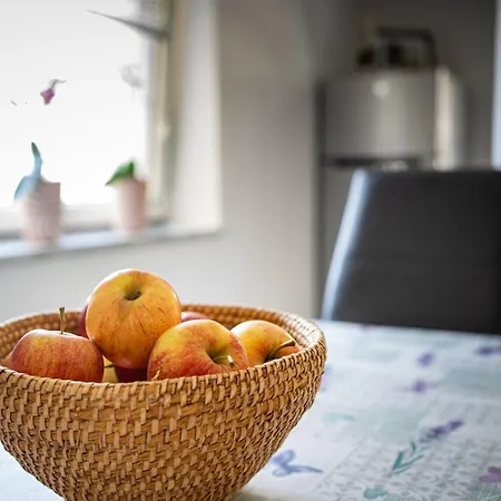 Apartma Anica Apartment Zirovnica