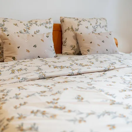 Apartma Anica