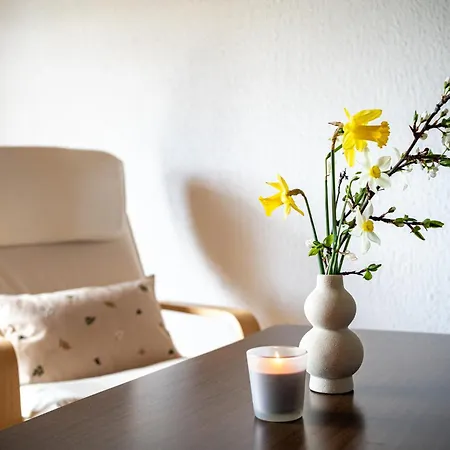 Apartma Anica *