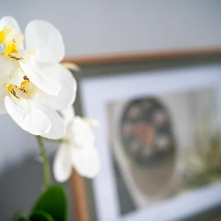 Apartma Anica Apartment *